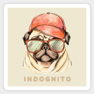 Pug Indognito Sticker